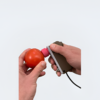 Soft Fruits Firmness Tester AGROSTA®100USB