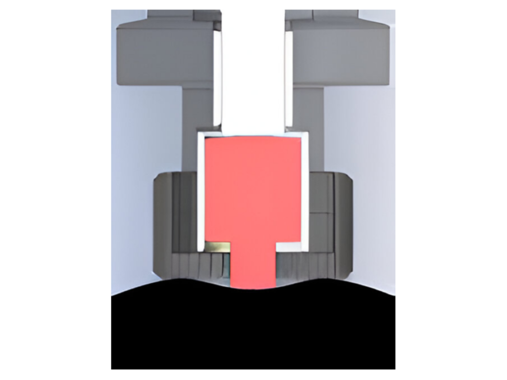 fruit deformation durofel principle